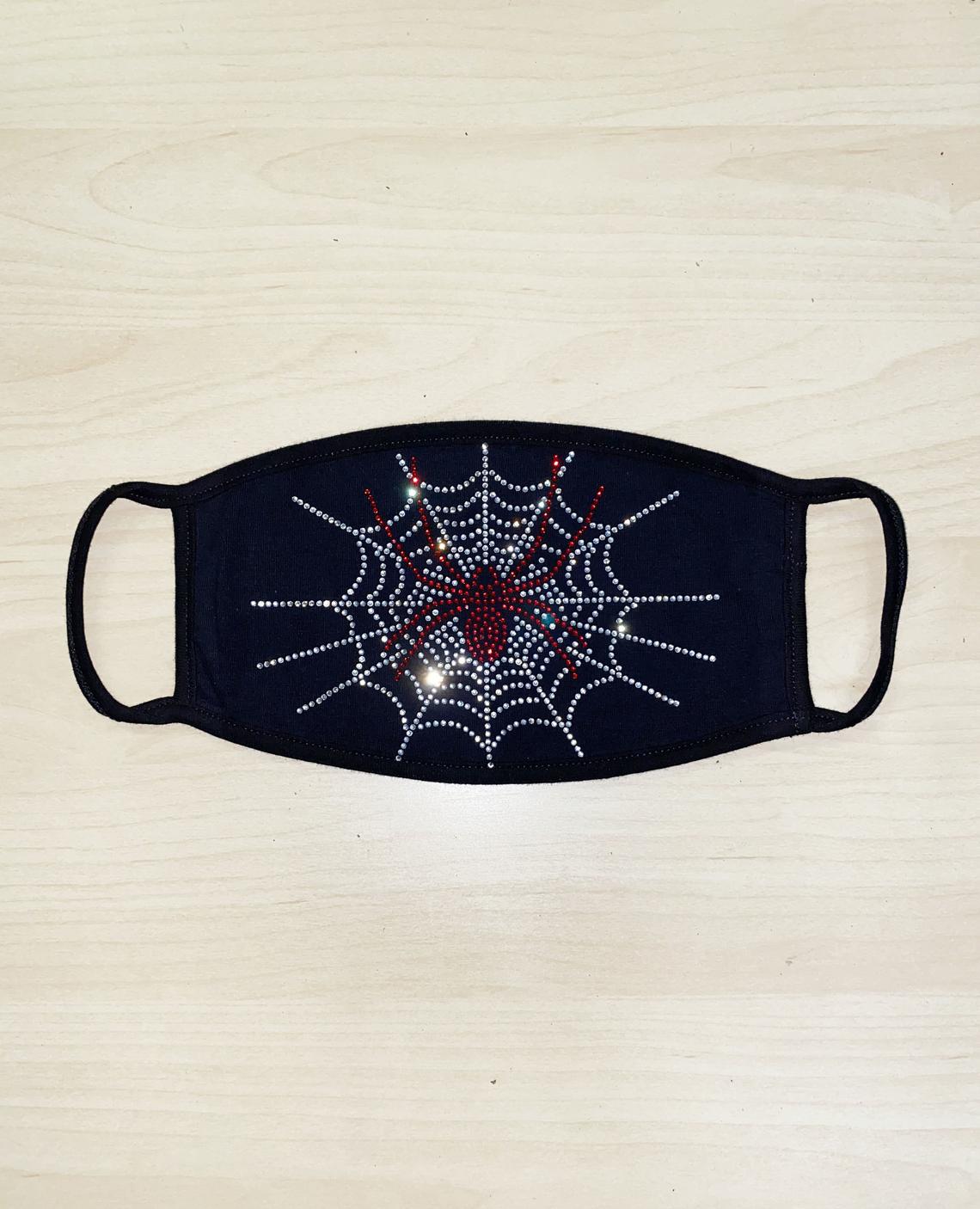 Spider with Web